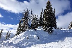 05C Taking A Break In The Trees At Sunshine Ski Area.jpg